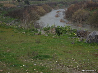 lle del Simeto-24-02-2013 12-37-06